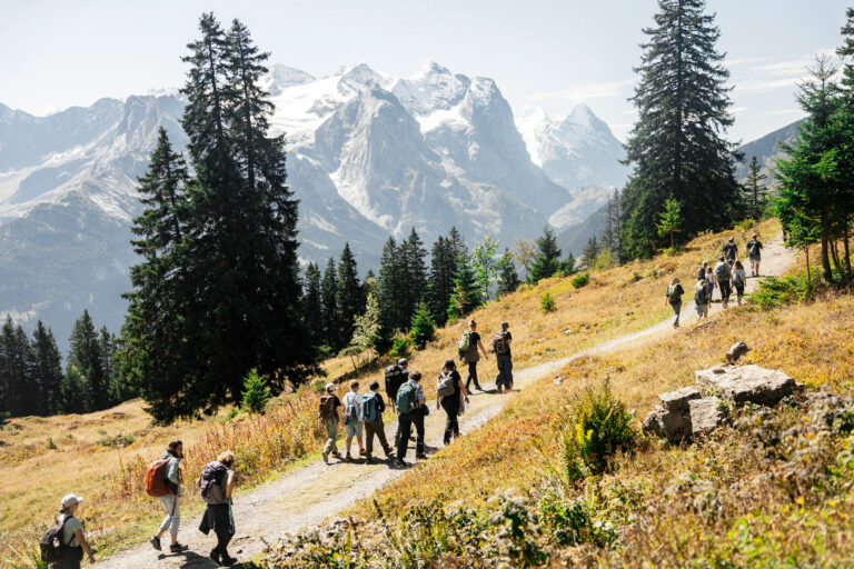 Wanderer auf Bergpfad mit Aussicht auf verschneite Gipfel und Wälder.
